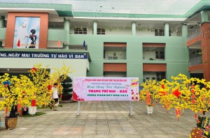 HỘI THI TRANG TRÍ MAI ĐÀO CỦA TRƯỜNG TIỂU HỌC THỚI HÒA CHÀO MỪNG XUÂN QUÝ MÃO 2023